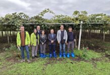 Επίσκεψη κλιμακίου φυτοϋγειονομικών ελεγκτών του Υπουργείου Γεωργίας του Βιετνάμ με στόχο το άνοιγμα της αγοράς για το ελληνικό ακτινίδιο