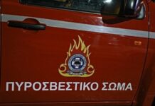 Πυροσβεστική Υπηρεσία Ν. Ημαθίας: Επίσημος εορτασμός των “Αγίων Τριών Παίδων εν Καμίνω”