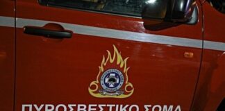 Πυροσβεστική Υπηρεσία Ν. Ημαθίας: Επίσημος εορτασμός των “Αγίων Τριών Παίδων εν Καμίνω”