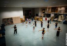 Νάουσα: Πραγματοποίηση Σεμιναρίων Χορού R.O.T.A