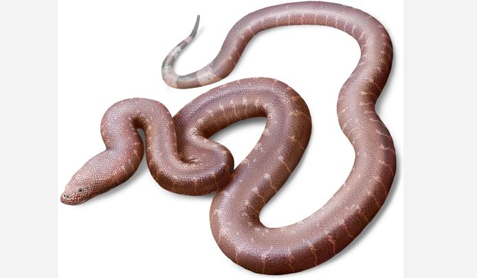 Figure+17+Life+reconstruction-R1