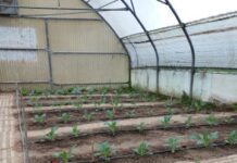 1ο ΕΠΑΛ Αλεξάνδρειας: Θερμές ευχαριστίες στην AGRIS Α.Ε.