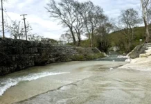 Irlandiki Krasopouli