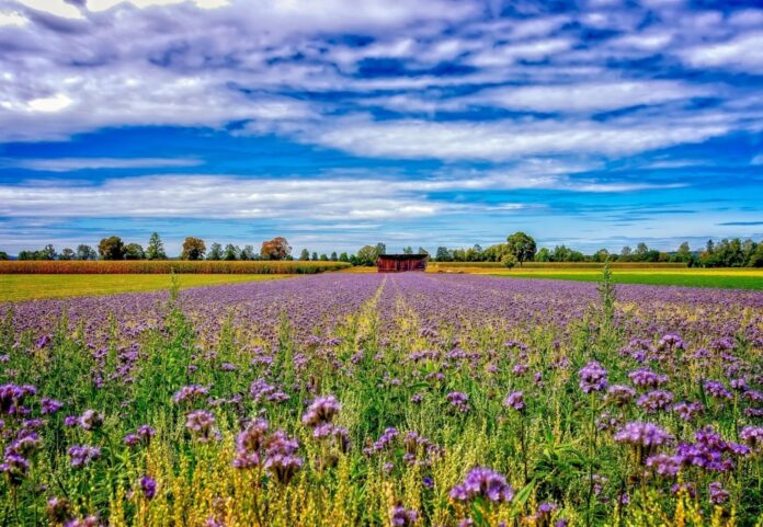 Press release_LANDSCAPE