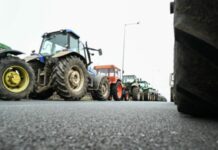 Ν.Τ. ΑΔΕΔΥ Ημαθίας: Ψήφισμα συμπαράστασης στις αγροτικές κινητοποιήσεις