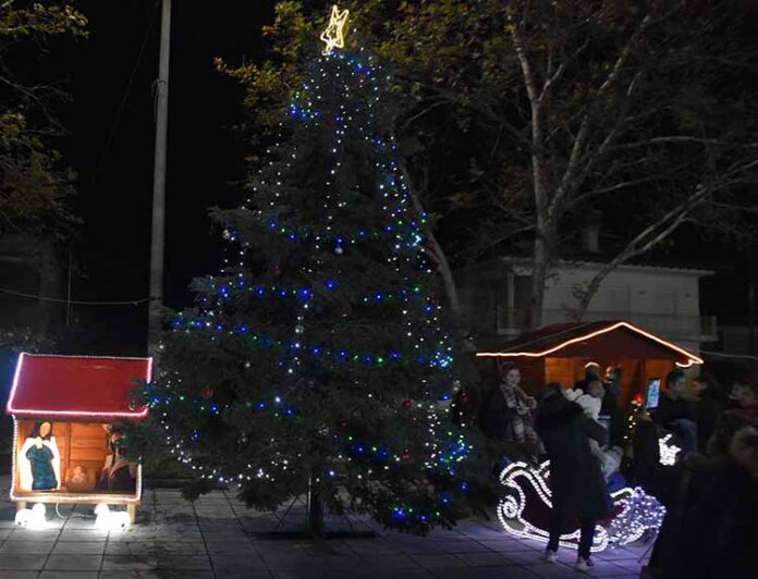 anamma dentrou eirinoupoli (1)