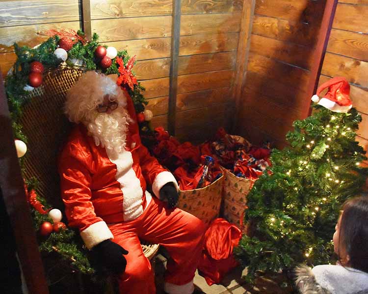 anamma dentrou eirinoupoli 4