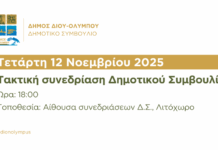 Δήμος Δίου-Ολύμπου: Πρόσκληση στην τακτική συνεδρίαση του Δημοτικού Συμβουλίου την Τετάρτη 12 Νοεμβρίου 2025 και τα προς συζήτηση θέματα