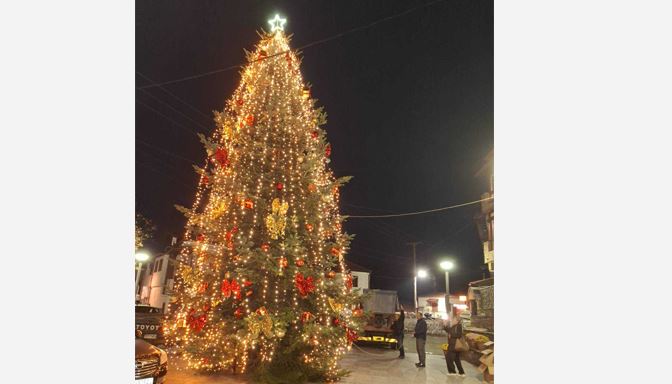 Δέντρο Ταξιάρχη Χαλκιδικής