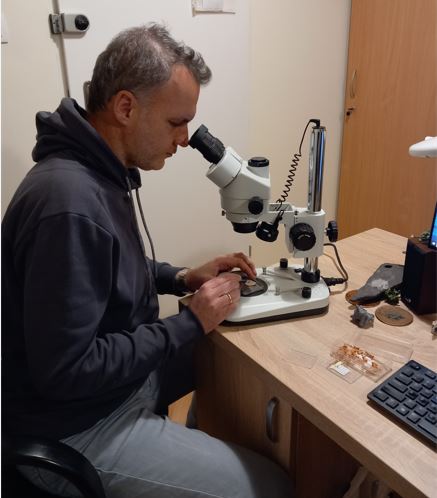 Εικονα3.Γεωργαληςαπολιθωματα