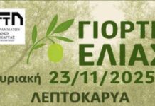Δήμος Δίου-Ολύμπου: Η Γιορτή Ελιάς στη Λεπτοκαρυά