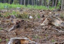 FAO: Περίπου 1,7 δισεκατομμύριο άνθρωποι πλήττονται από την υποβάθμιση της γης, σύμφωνα με τον οργανισμό