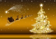 Χριστουγεννιάτικες ευχές της Διοίκησης Πυροσβεστικών Υπηρεσιών Νομού Ημαθίας