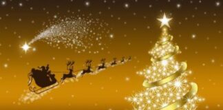 Χριστουγεννιάτικες ευχές της Διοίκησης Πυροσβεστικών Υπηρεσιών Νομού Ημαθίας