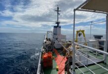 Επιστήμη: Ερευνητική αποστολή Ελλήνων επιστημόνων υπό αντίξοες συνθήκες αποκαλύπτει το παρελθόν της Ερυθράς Θάλασσας