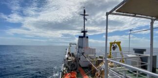 Επιστήμη: Ερευνητική αποστολή Ελλήνων επιστημόνων υπό αντίξοες συνθήκες αποκαλύπτει το παρελθόν της Ερυθράς Θάλασσας