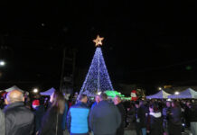 Μελίκη: Φωταγωγήθηκε το Χριστουγεννιάτικο δέντρο στη Μελίκη – Βίντεο – φωτό