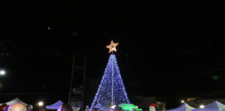 Μελίκη: Φωταγωγήθηκε το Χριστουγεννιάτικο δέντρο στη Μελίκη – Βίντεο – φωτό