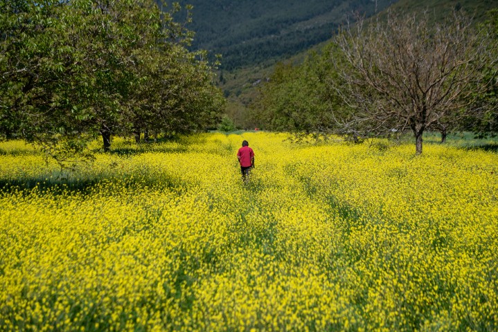 Sporos ERT3 DocSeries 3