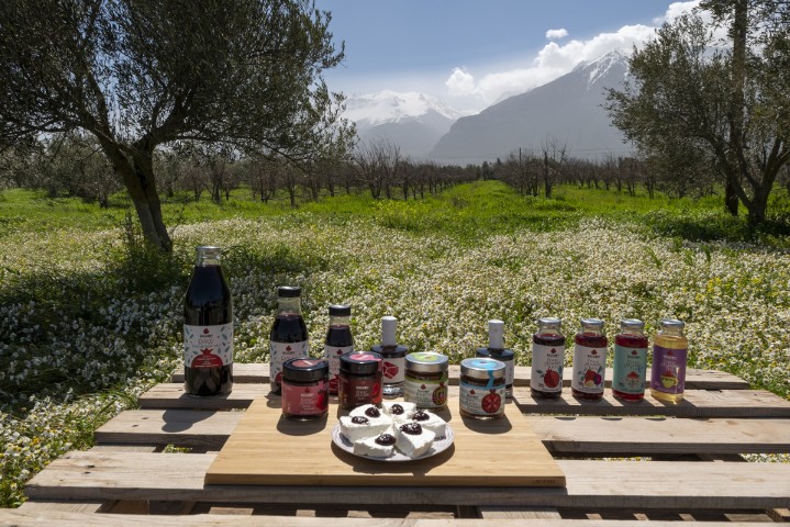 Sporos ERT3 DocSeries 6