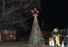 Νάουσα: Με λαμπρότητα η Φωταγώγηση του Χριστουγεννιάτικου Δέντρου στην Επισκοπή