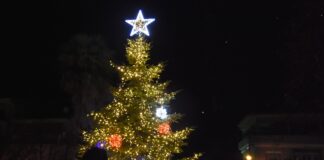 Εντυπωσιακή Χριστουγεννιάτικη Ατμόσφαιρα στη Φωταγώγηση του Χριστουγεννιάτικου Δέντρου στην Πλατεία Καρατάσου Νάουσας