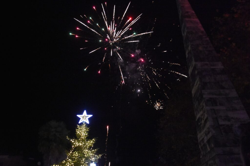 anamma dentrou naoussa 13