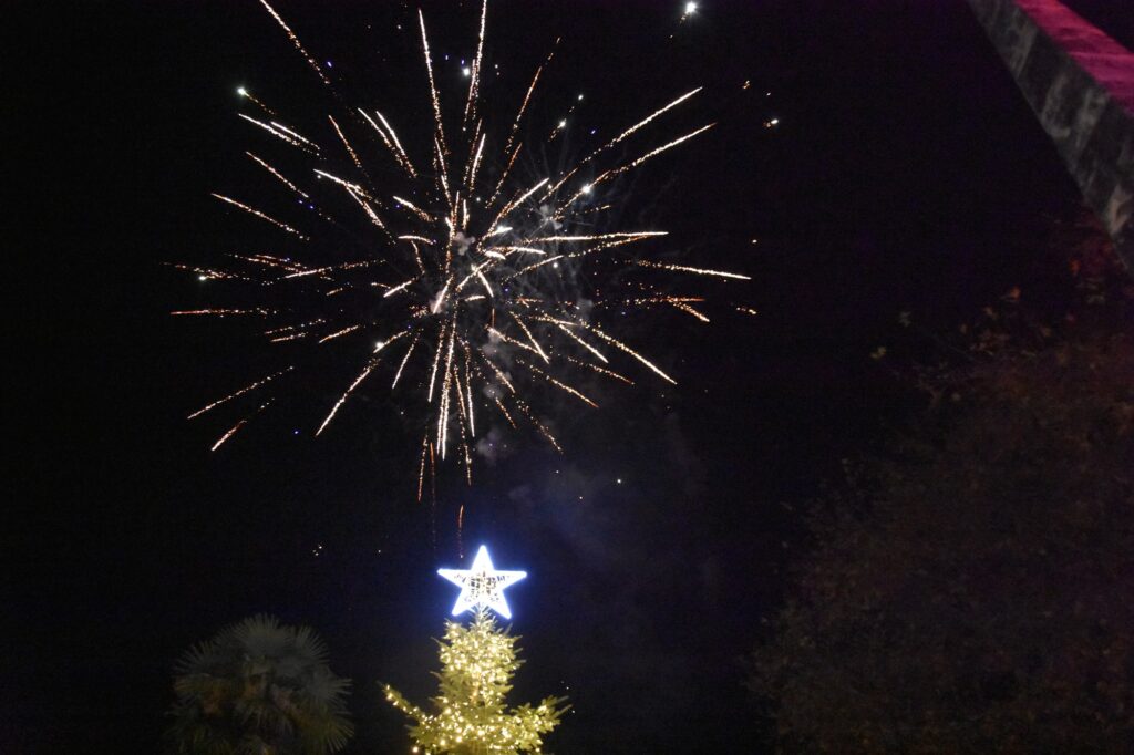 anamma dentrou naoussa 2