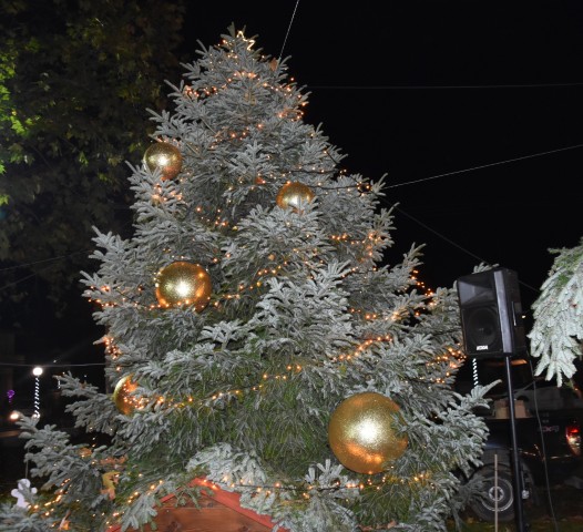 anamma polyplatanos 2