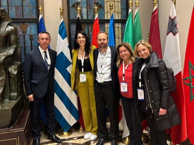 pmantas PA UfM CAIRO 3