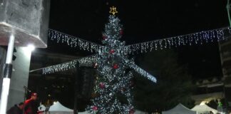 Αλεξάνδρεια: Άναψε το δέντρο των Χριστουγέννων με πολύ κέφι και τον εκπληκτικό Κωνσταντίνο Νάζη – Βίντεο – φωτό