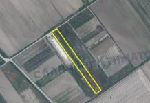 Δήμος Αλεξάνδρειας: Αναβάλλονται για την επομένη οι δημοπρασίες που είχαν προγραμματιστεί για αύριο Τρίτη 16 Δεκεμβρίου