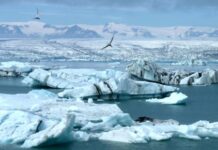 ΗΠΑ: Η Αρκτική βίωσε την πιο θερμή χρονιά που έχει καταγραφεί ποτέ