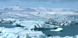 ΗΠΑ: Η Αρκτική βίωσε την πιο θερμή χρονιά που έχει καταγραφεί ποτέ