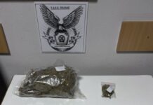Συνελήφθη ένα άτομο στην Πέλλα για παράβαση της νομοθεσίας για τα ναρκωτικά-Κατασχέθηκαν περισσότερα από 520 γραμμάρια ακατέργαστης κάνναβης