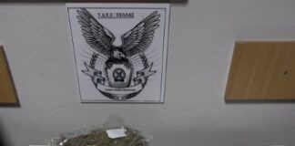 Συνελήφθη ένα άτομο στην Πέλλα για παράβαση της νομοθεσίας για τα ναρκωτικά-Κατασχέθηκαν περισσότερα από 520 γραμμάρια ακατέργαστης κάνναβης