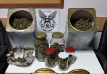 Συνελήφθη ένα άτομο στην Πέλλα για παράβαση της νομοθεσίας για τα ναρκωτικά-Κατασχέθηκαν περισσότερα από 4 κιλά ακατέργαστης κάνναβης