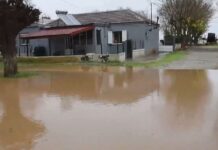 ΕΙΔΗΣΕΙΣ ΣΕ ΒΙΝΤΕΟ: Καταστράφηκαν καλλιέργειες στην περιοχή των Φαρσάλων από την κακοκαιρία Byron