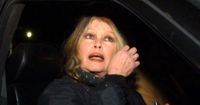 Μπριζιτ Μπαρντό - φωτο ΑΠΕ - EPA-ROBERT GHEMENT