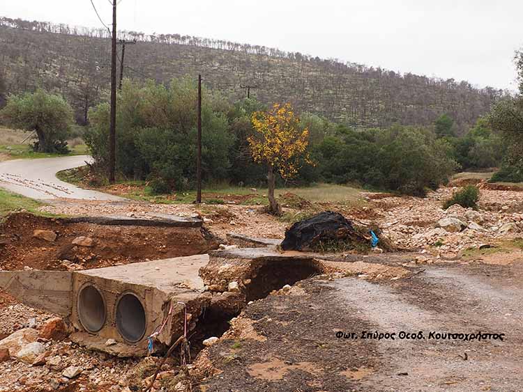 Φωτ. Σπύρος Θεοδ. Κουτσοχρήστος 7 12 2025 P1012883.jpeg