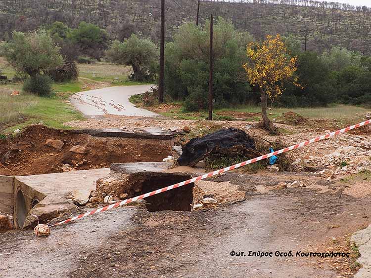 Φωτ. Σπύρος Θεοδ. Κουτσοχρήστος 7 12 2025 P1012885.jpeg