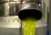 Τηλεοπτικό οδοιπορικό του ΑΠΕ-ΜΠΕ στους δρόμους του λαδιού