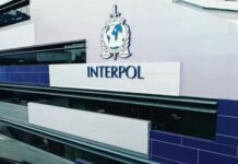 Το λαθρεμπόριο ζώντων ζώων έφθασε σε νέα επίπεδα ρεκόρ, σύμφωνα με την Interpol