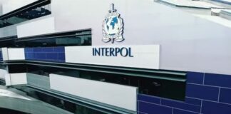 Το λαθρεμπόριο ζώντων ζώων έφθασε σε νέα επίπεδα ρεκόρ, σύμφωνα με την Interpol