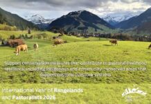 Δημήτριος Μιχαηλίδης: 2026-Διεθνές Έτος Βοσκοτόπων και βοσκών