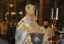 Αλεξάνδρεια: Με λαμπρότητα γιορτάστηκαν τα άγια Θεοφάνεια – Βίντεο – φωτό