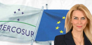 Λίνα Τουπεκτσή: «Συμφωνία ΕΕ–Mercosur: Ευκαιρία ανάπτυξης ή θυσία της ευρωπαϊκής γεωργίας;»