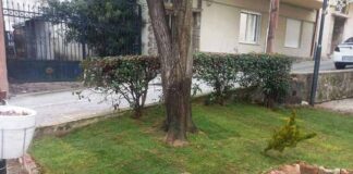 Παρεμβάσεις καλλωπισμού και αισθητικής αναβάθμισης στην Πλατεία Φόρου από τον Δήμο Νάουσας