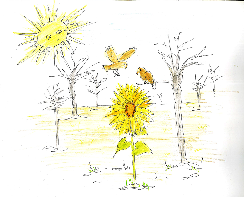 Δάσος Δαδιάς