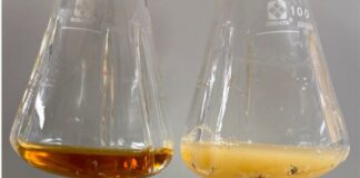 Επιστήμη: Επιστήμονες δημιούργησαν ενώσεις με αντικαρκινικές και αντιφλεγμονώδεις ιδιότητες από βακτήρια E.coli